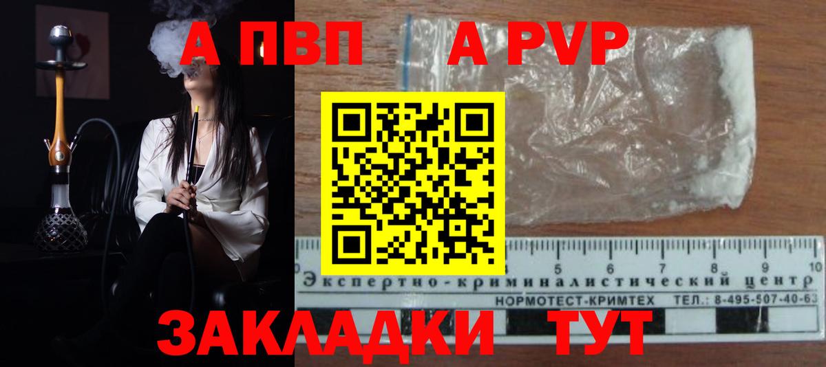 A PVP СК КРИС Боровичи