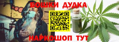 крисы Кулебаки
