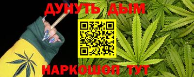 индика Усть-Илимск