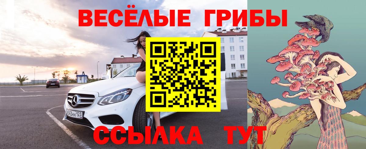закладки  Псилоцибиновые грибы Psilocybine cubensis  Вход с VPN  Боровичи  Псилоцибиновые грибы GOLDEN TEACHER 